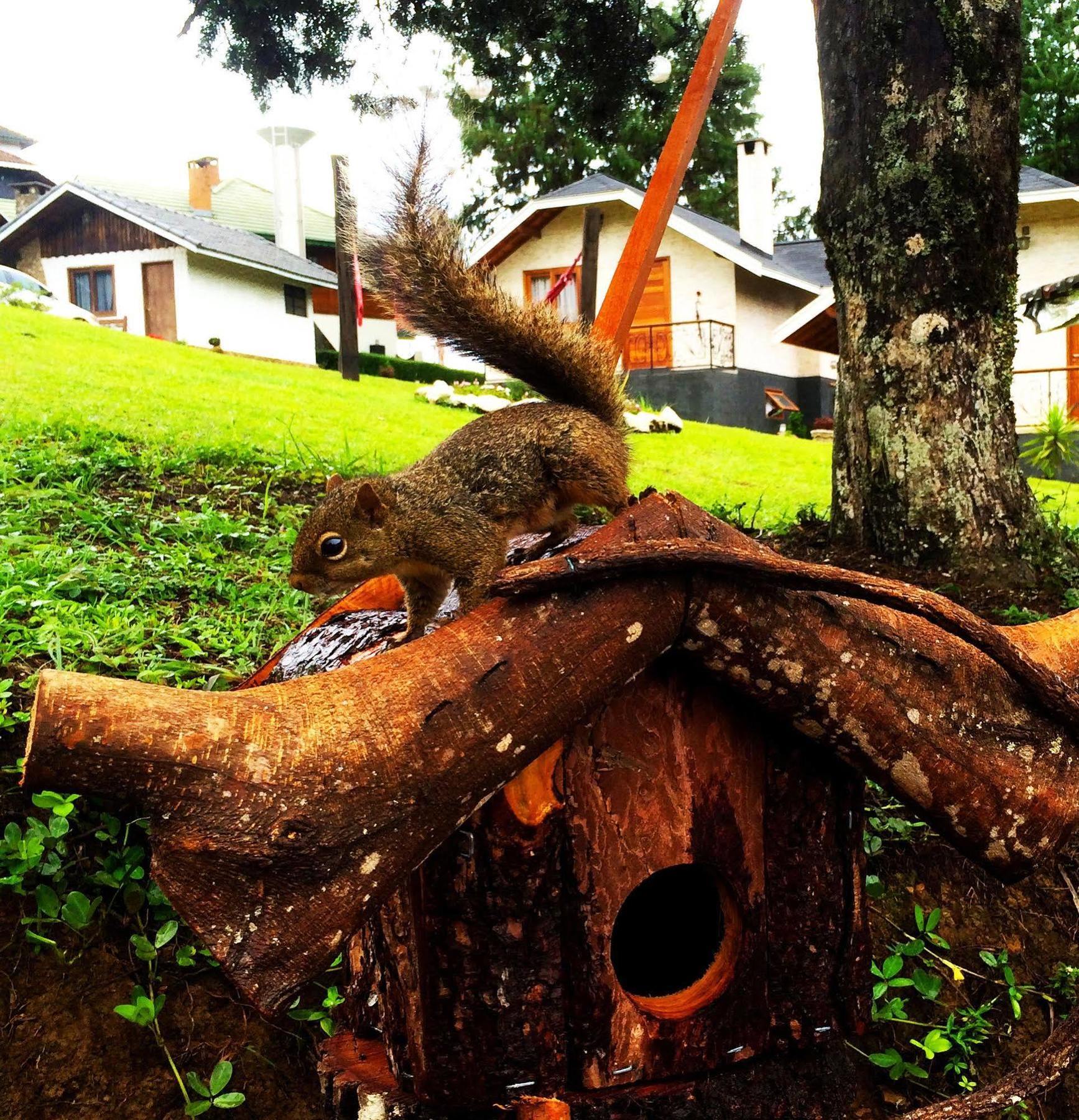 Pousada Villa Monte Verde ภายนอก รูปภาพ